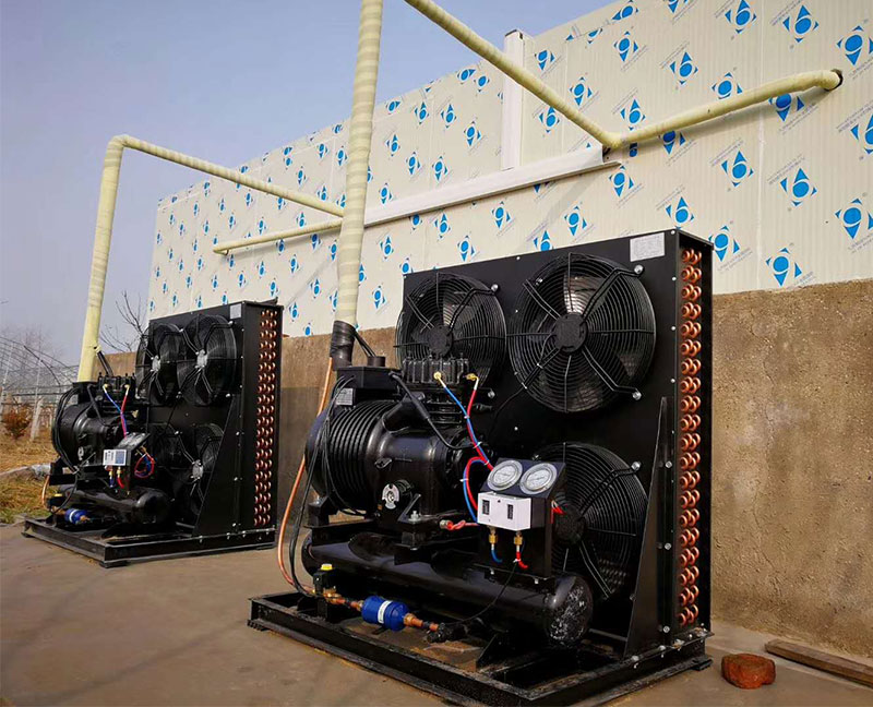 水果保鮮庫(kù)儀征/揚(yáng)州九齊制冷設(shè)備有限公司