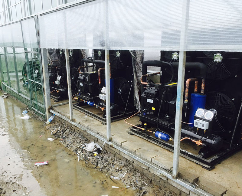 揚(yáng)州灣頭食品冷庫(kù)機(jī)組/揚(yáng)州九齊制冷設(shè)備有限公司